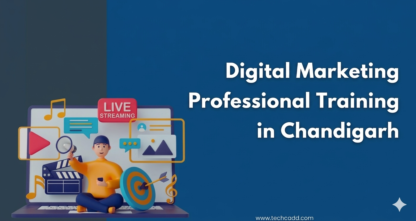 Digital Marketing Professional Training Chandigarh
